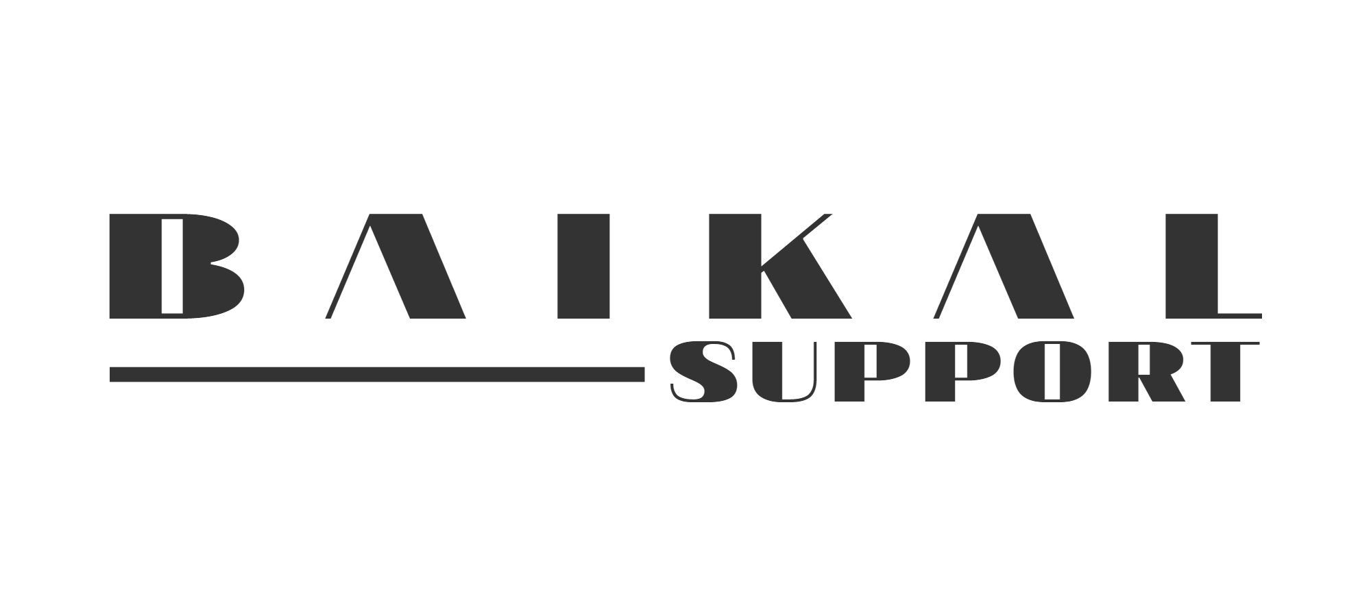 Логотип BaikalSupport